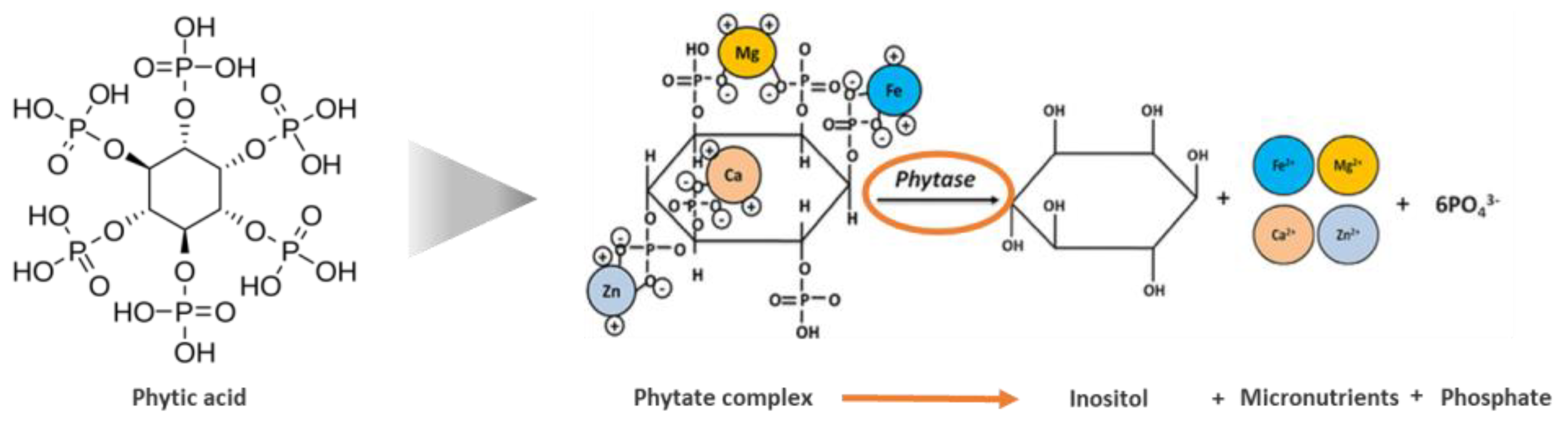 Applsci 14 04154 g001 Applsci 14 04154 g001