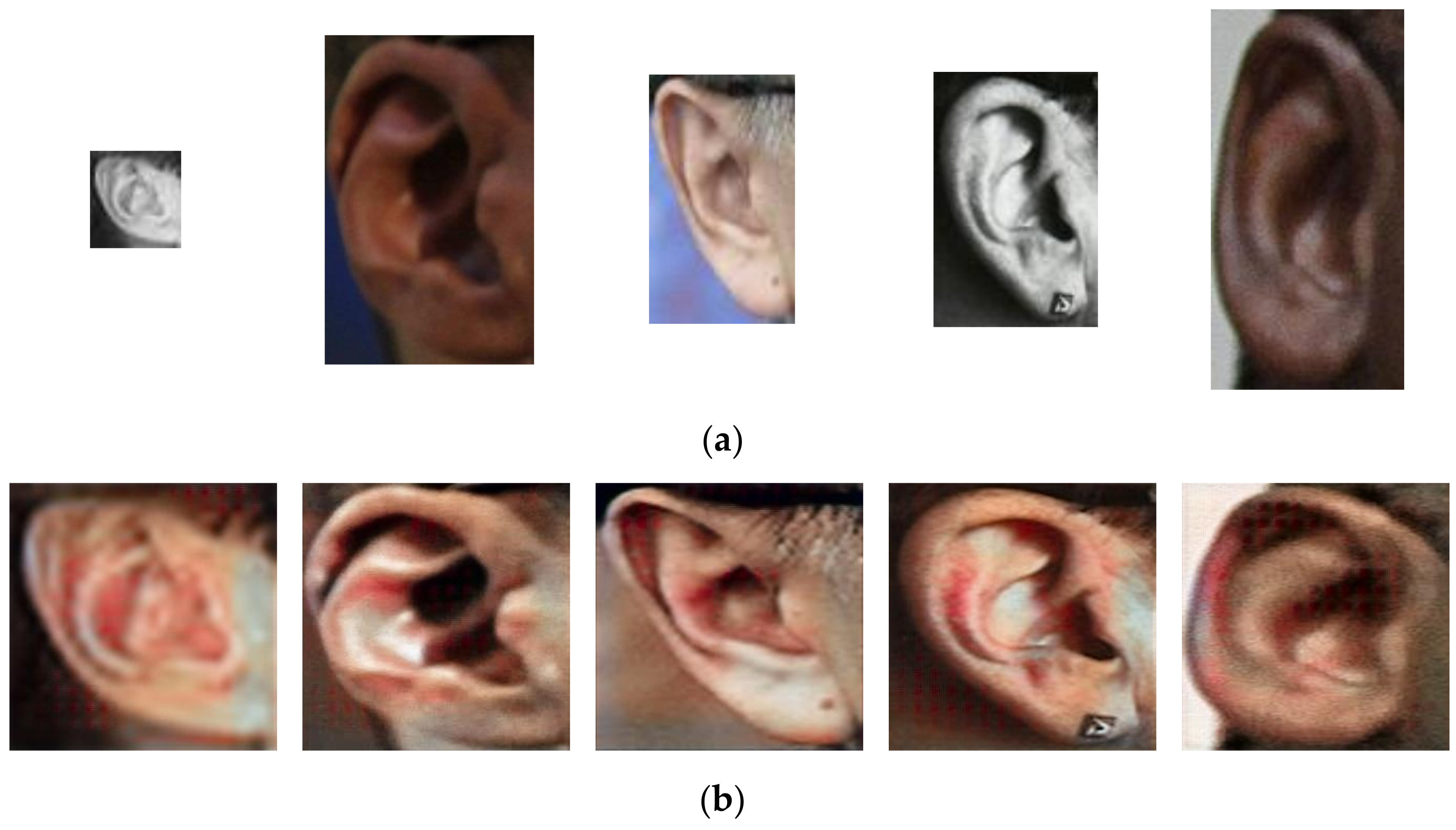 Applsci 14 04162 g003