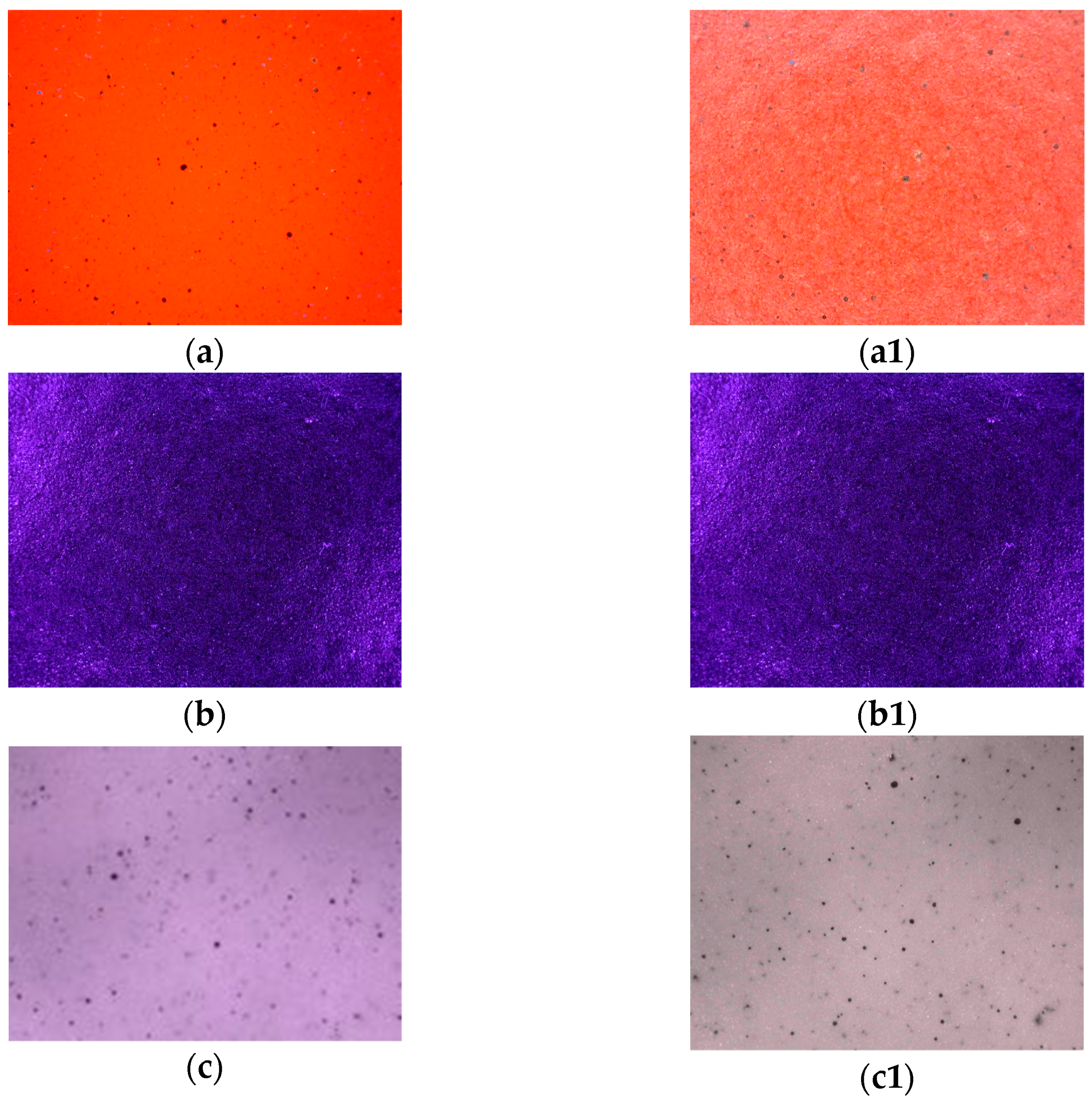 Applsci 14 04165 g005