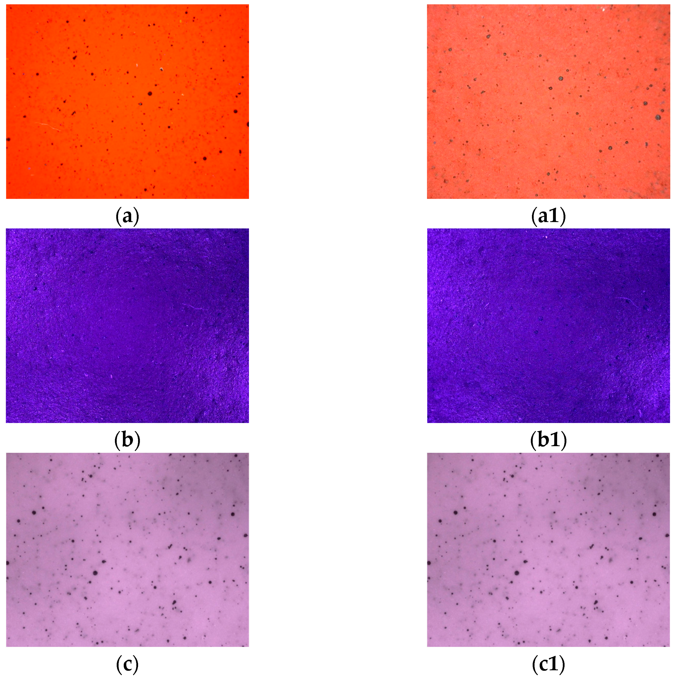 Applsci 14 04165 g006