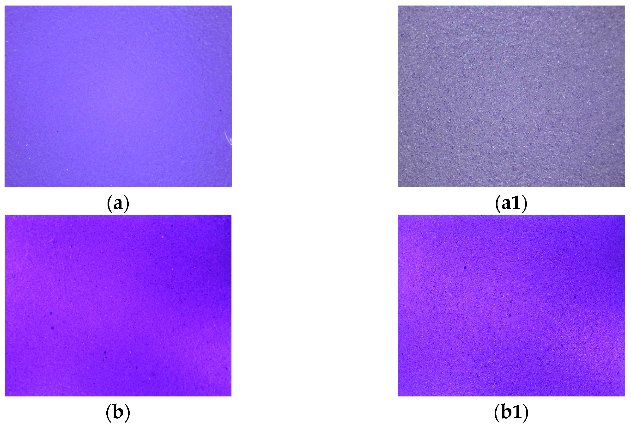 Applsci 14 04165 g007a