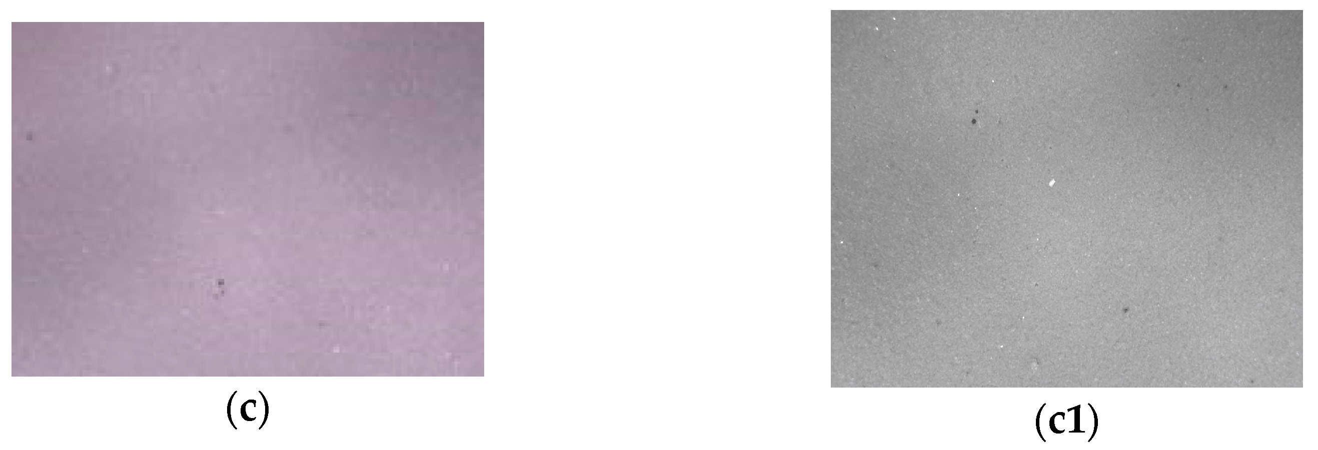 Applsci 14 04165 g007b