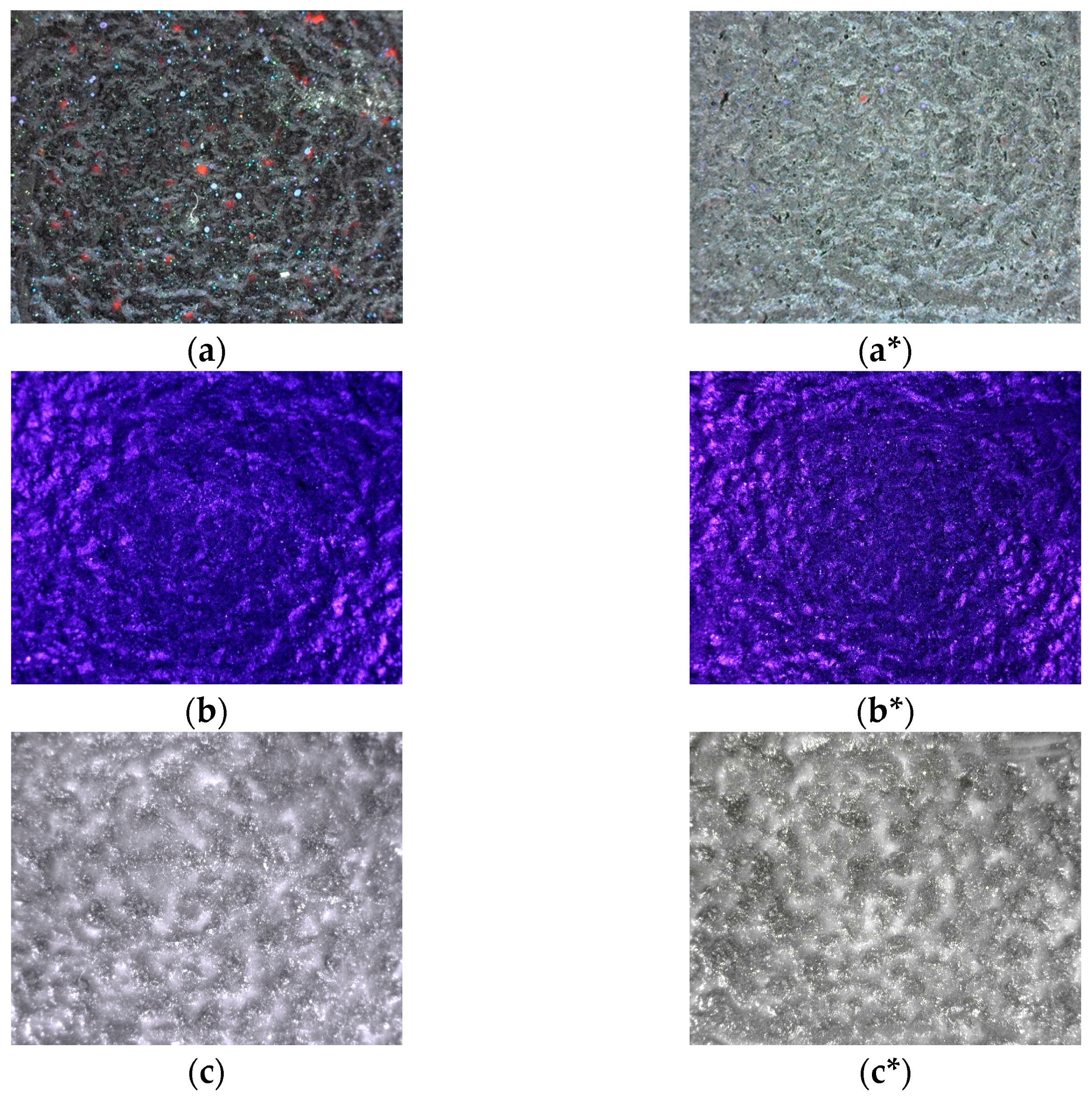 Applsci 14 04165 g008