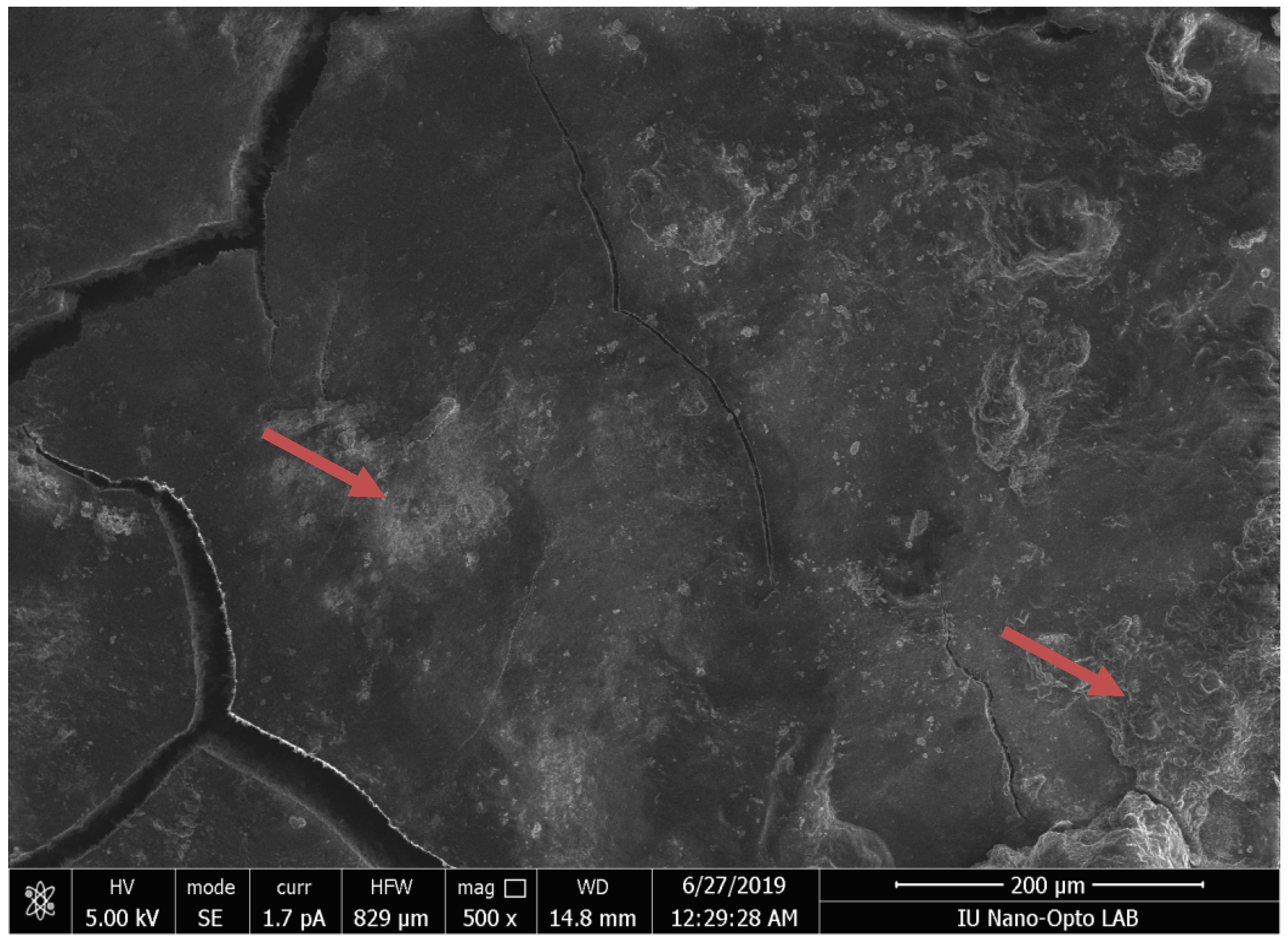 Applsci 14 04172 g001