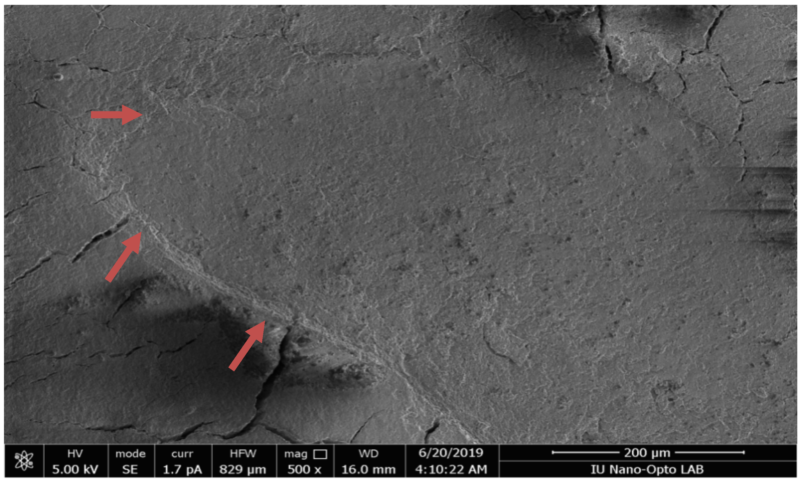 Applsci 14 04172 g005