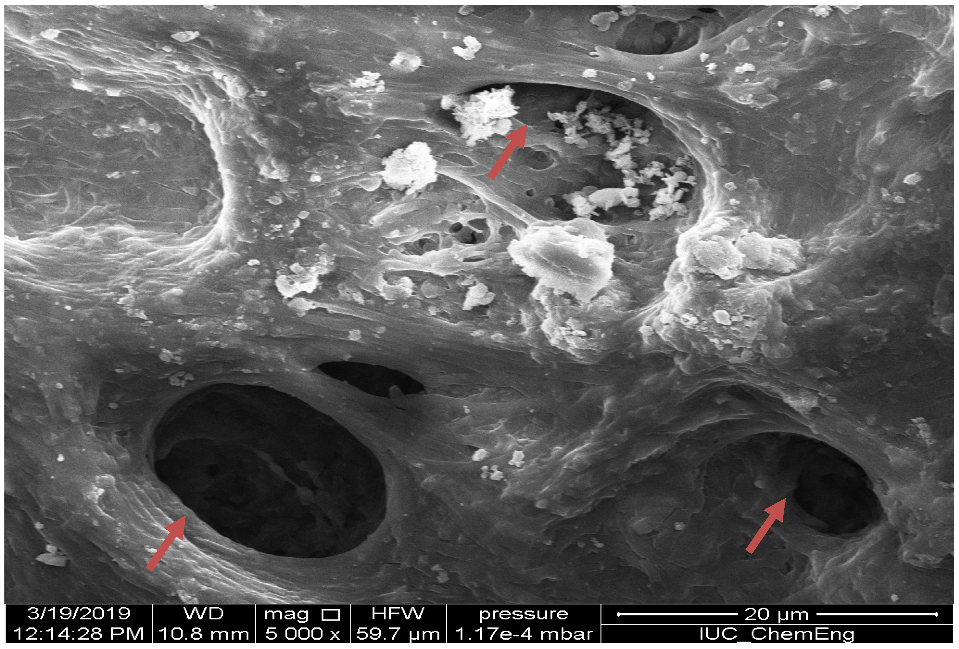 Applsci 14 04172 g006