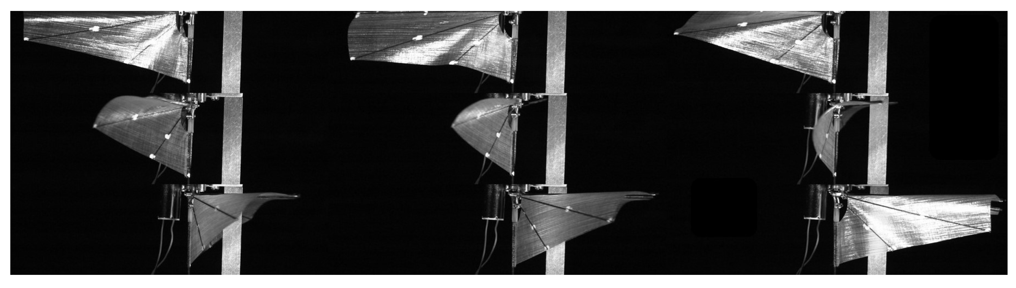 Applsci 14 04258 g008