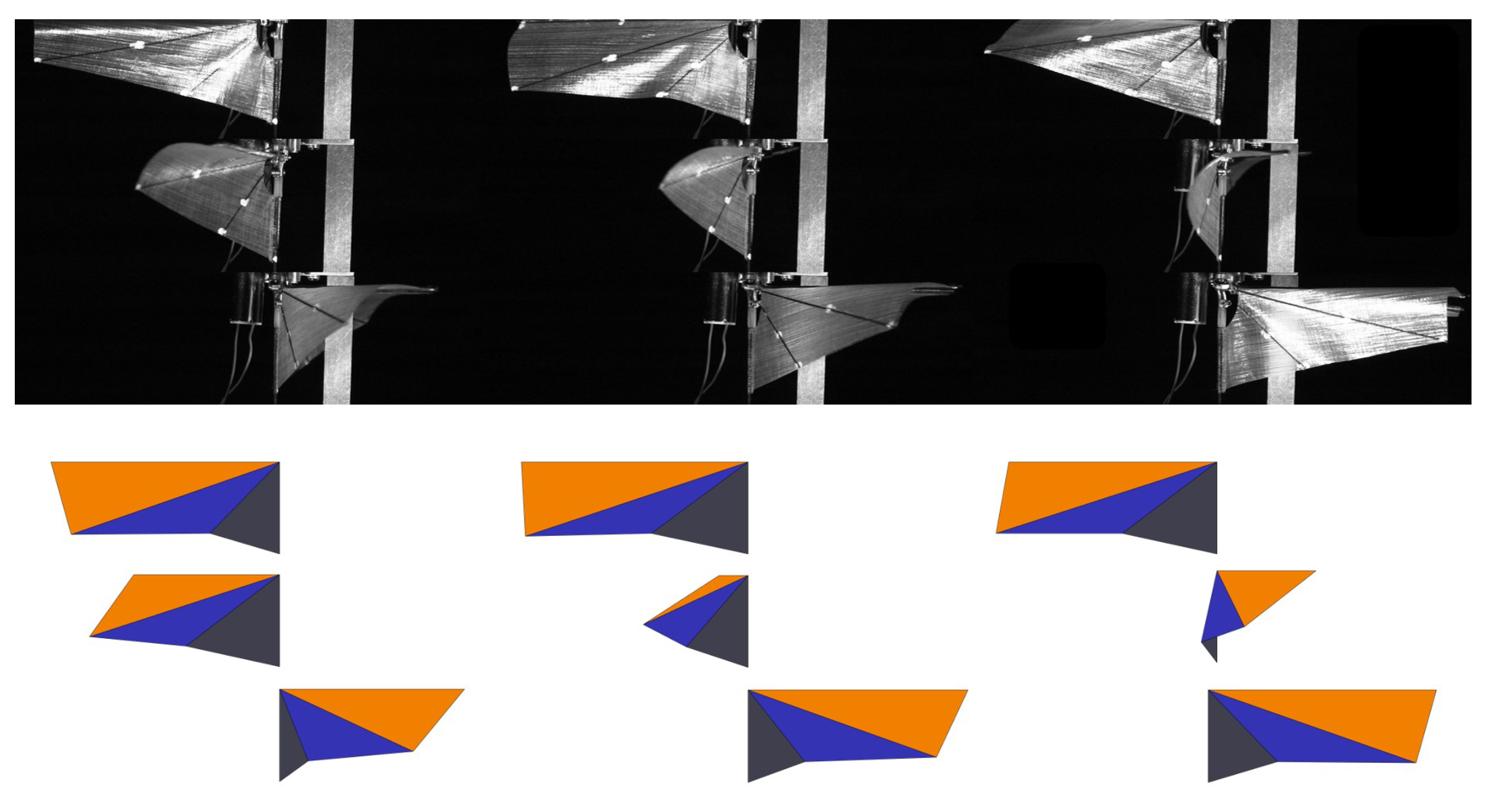 Applsci 14 04258 g012