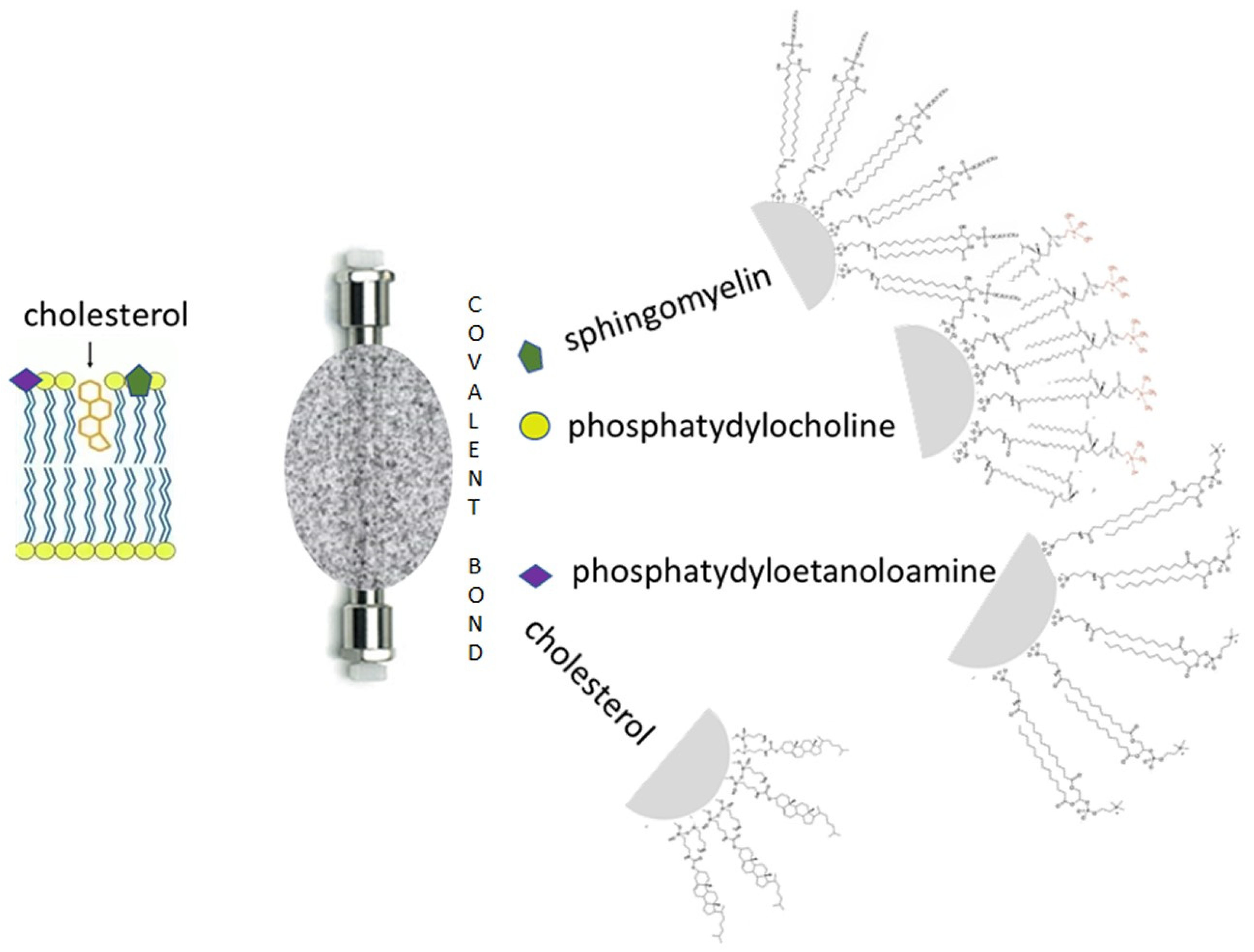 Applsci 14 04265 g001