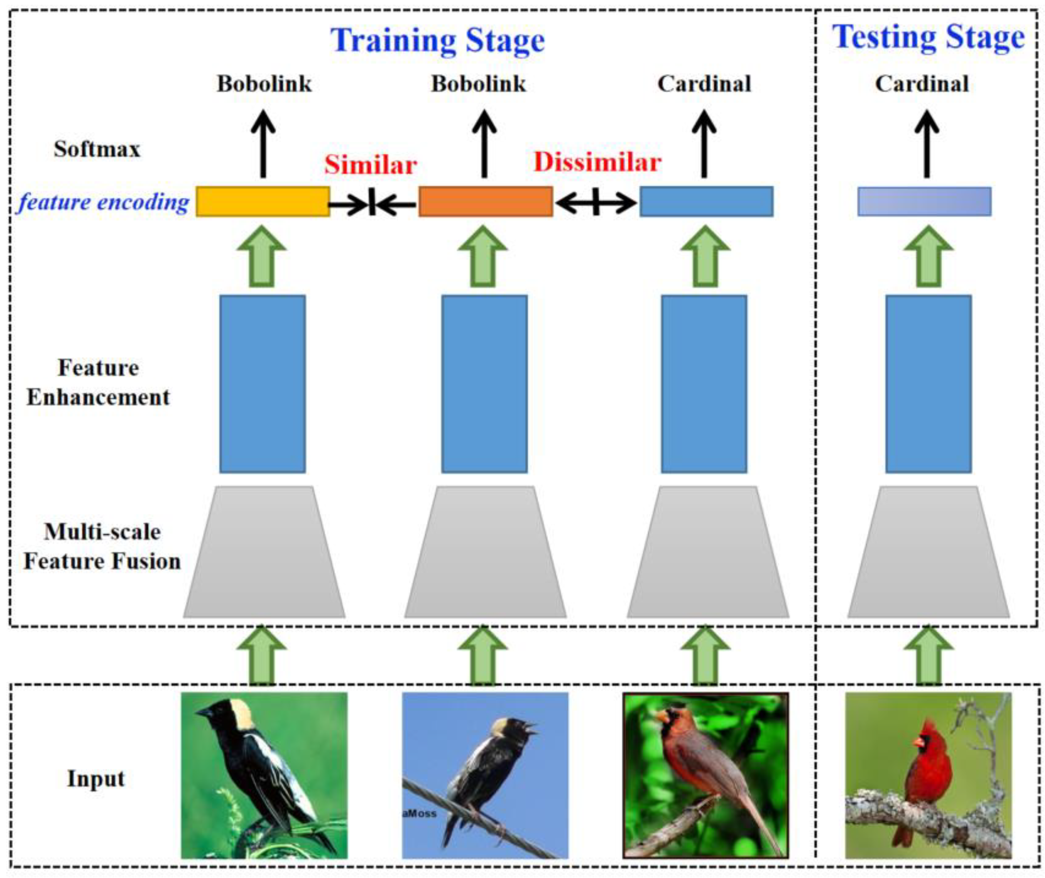 Automatic Bird Species Recognition from Images with Feature Enhancement ...
