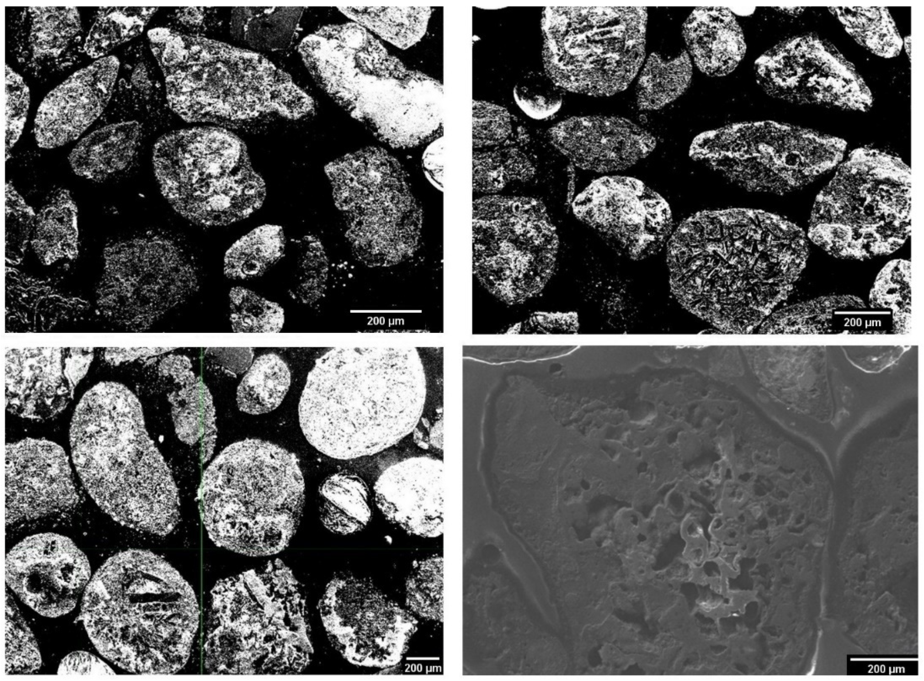 Applsci 14 04288 g001