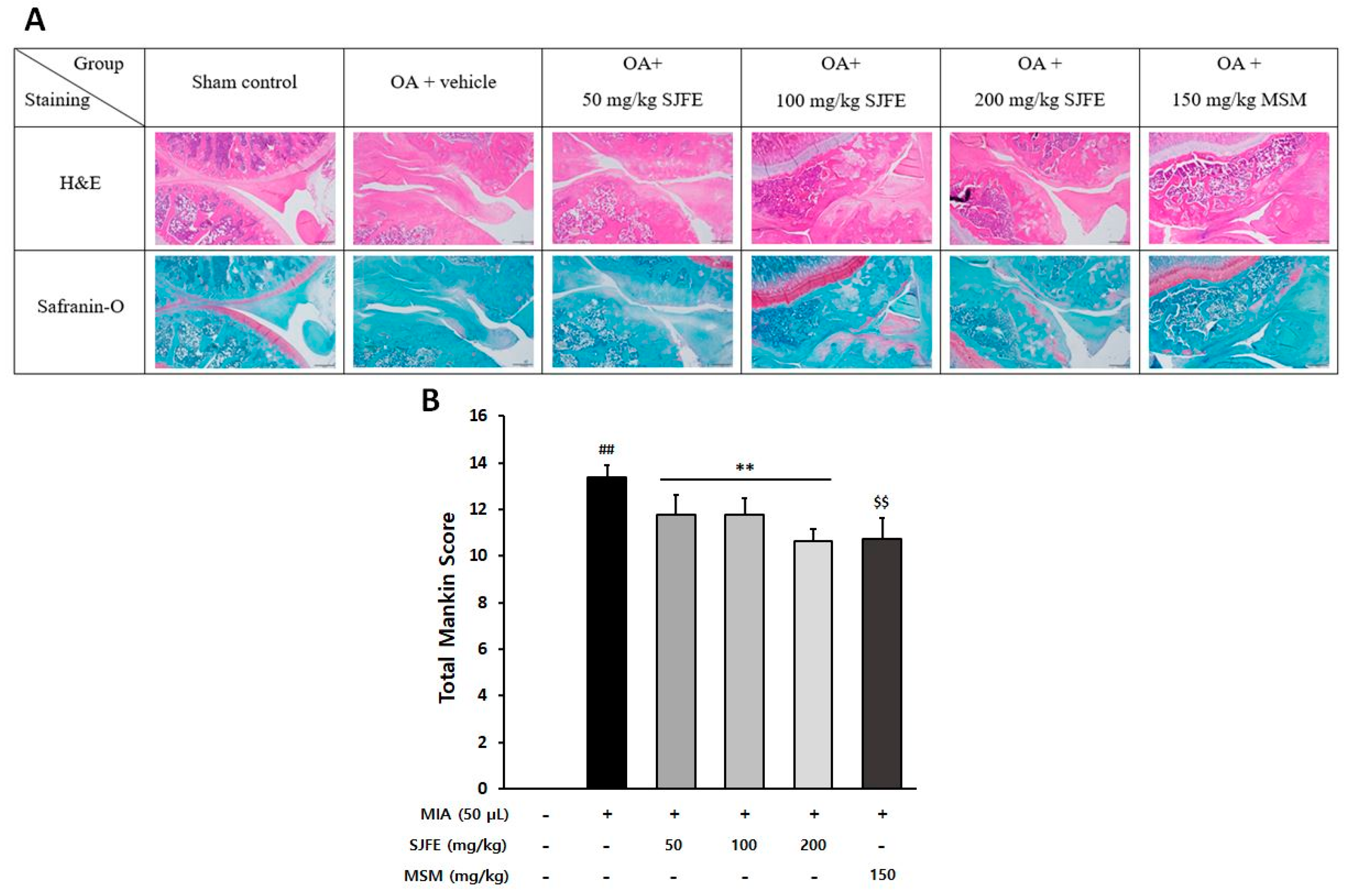 Applsci 14 04301 g006