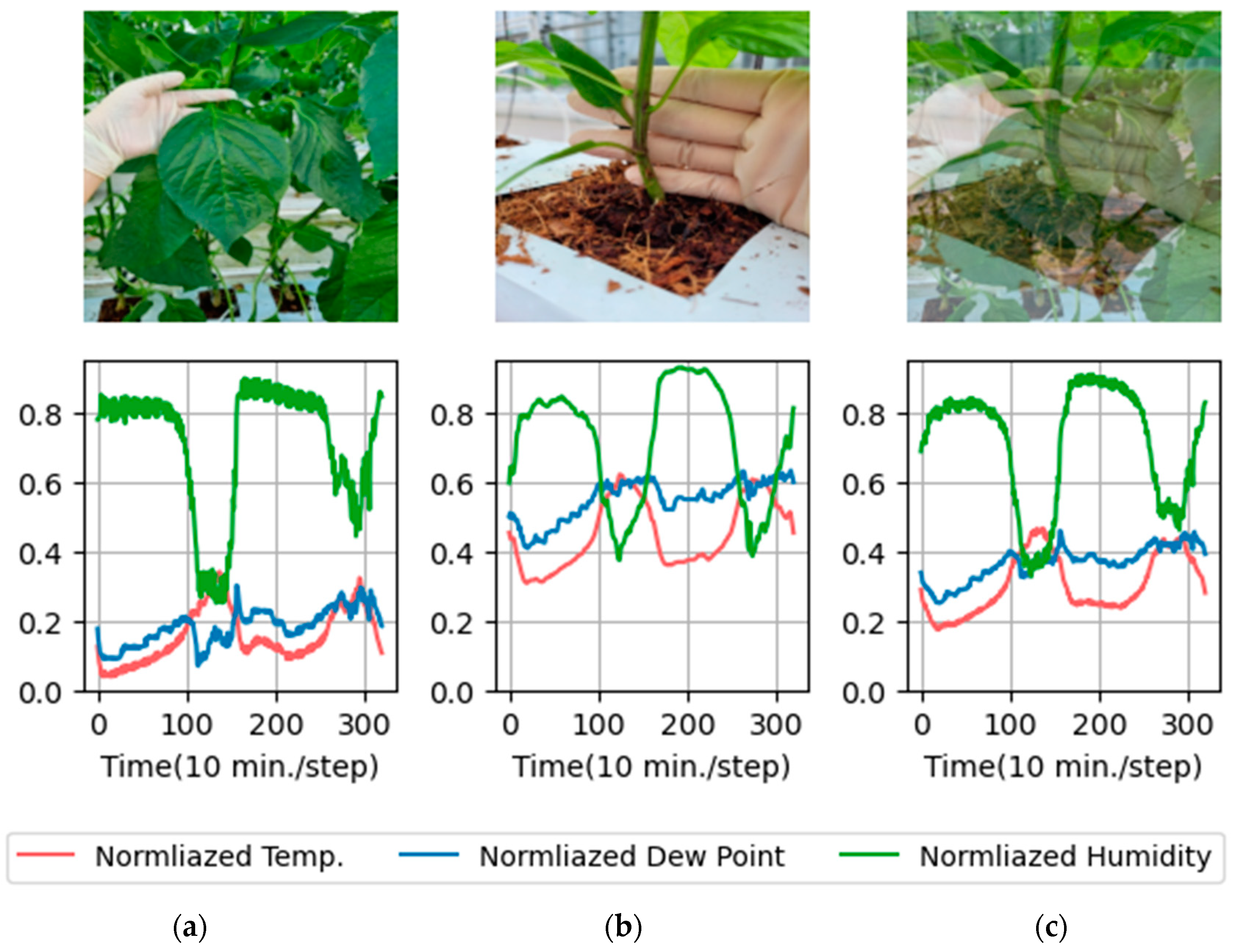 Applsci 14 04322 g003