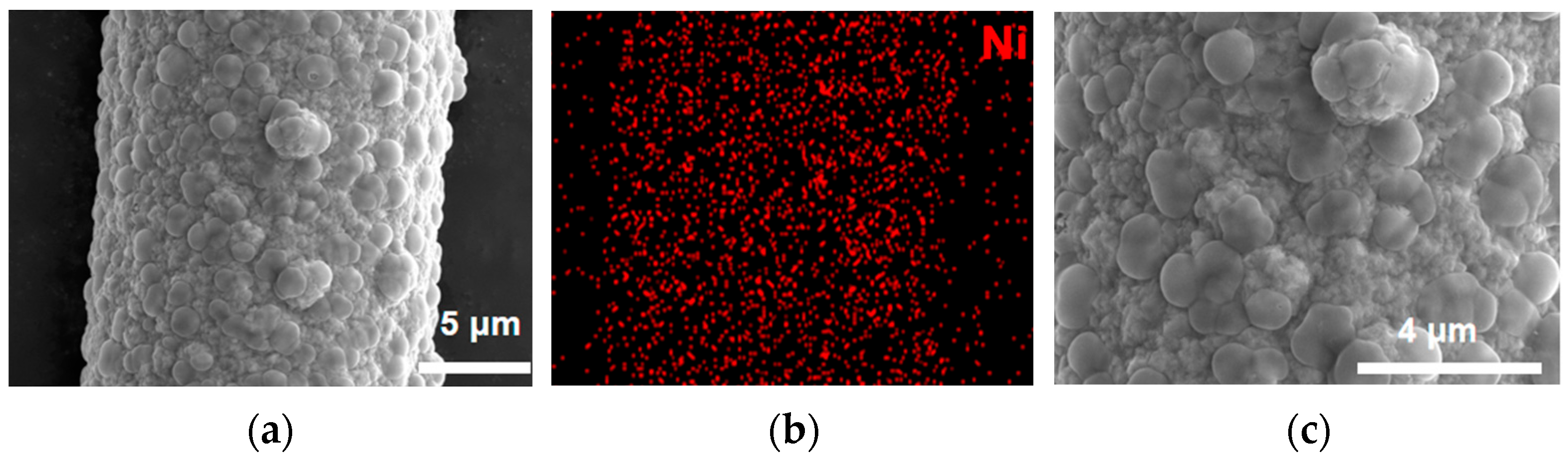 Applsci 14 04361 g004