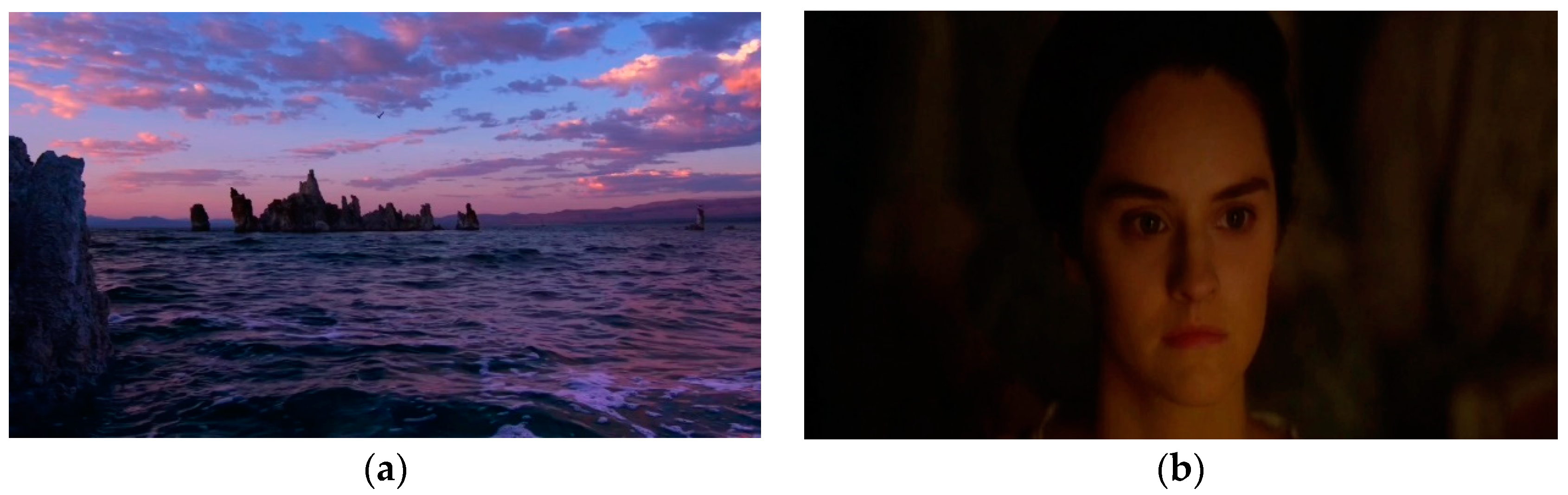 Applsci 14 04391 g004