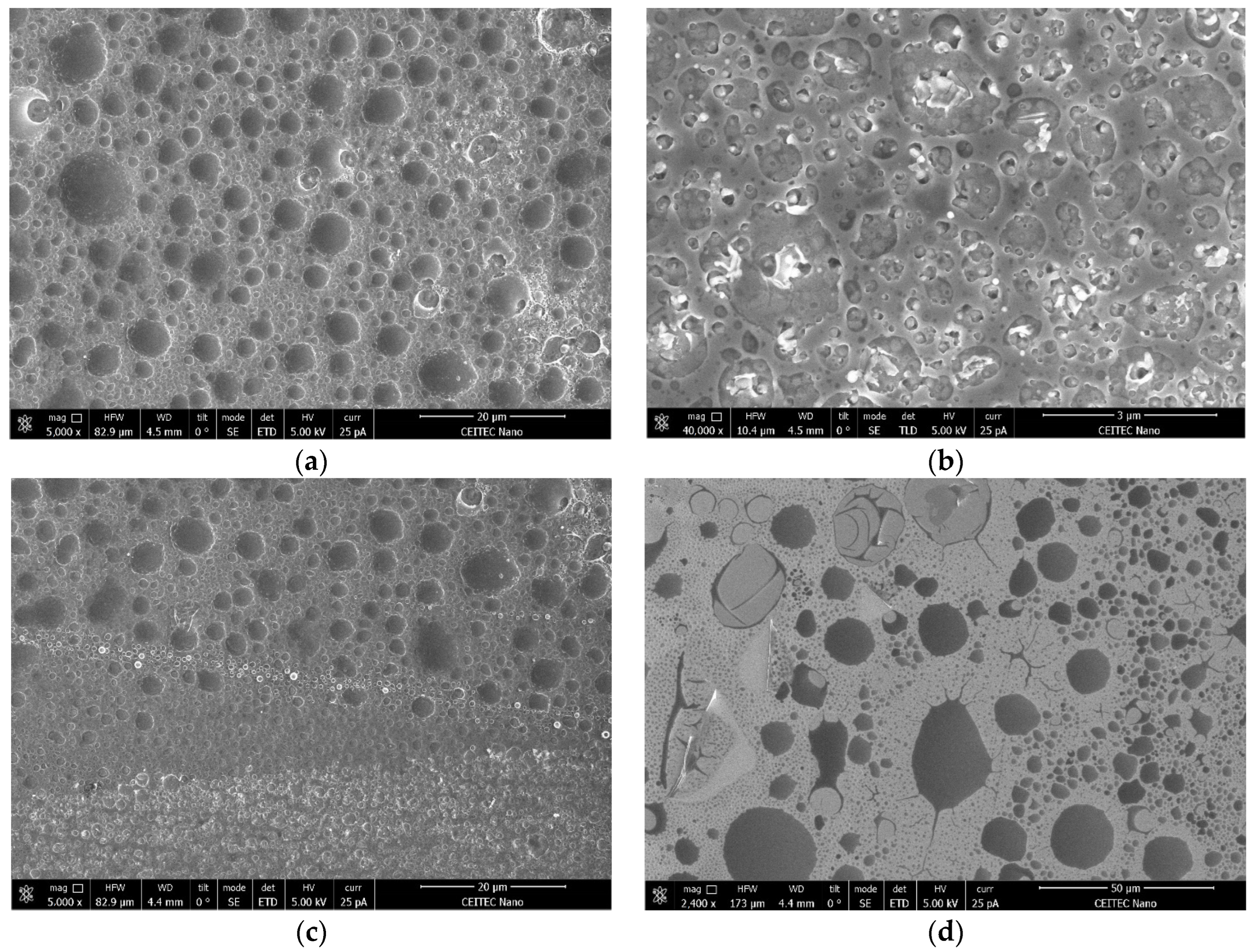 Applsci 14 04399 g013