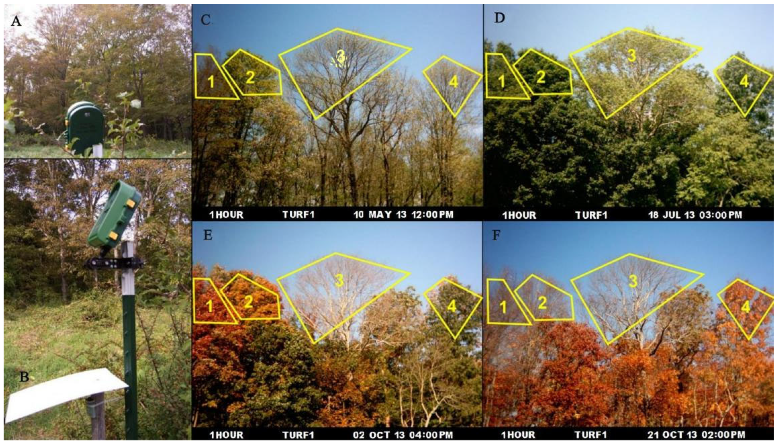 Applsci 14 04404 g010