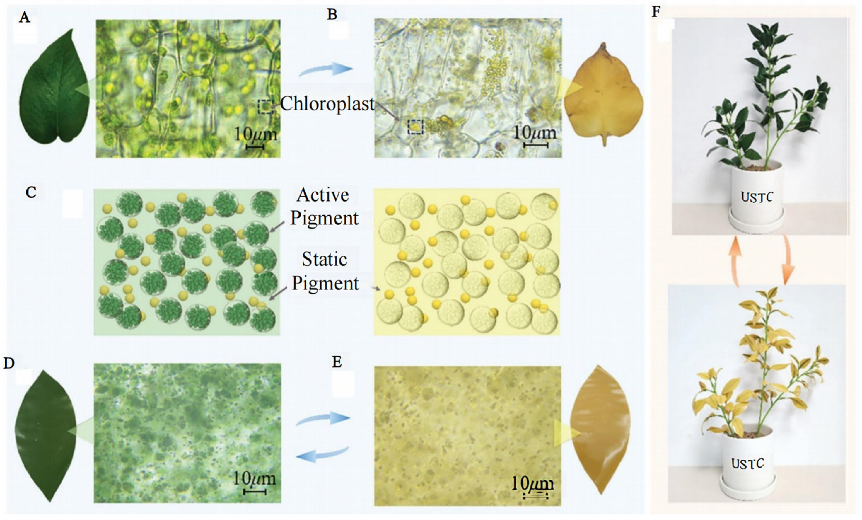 Applsci 14 04404 g011