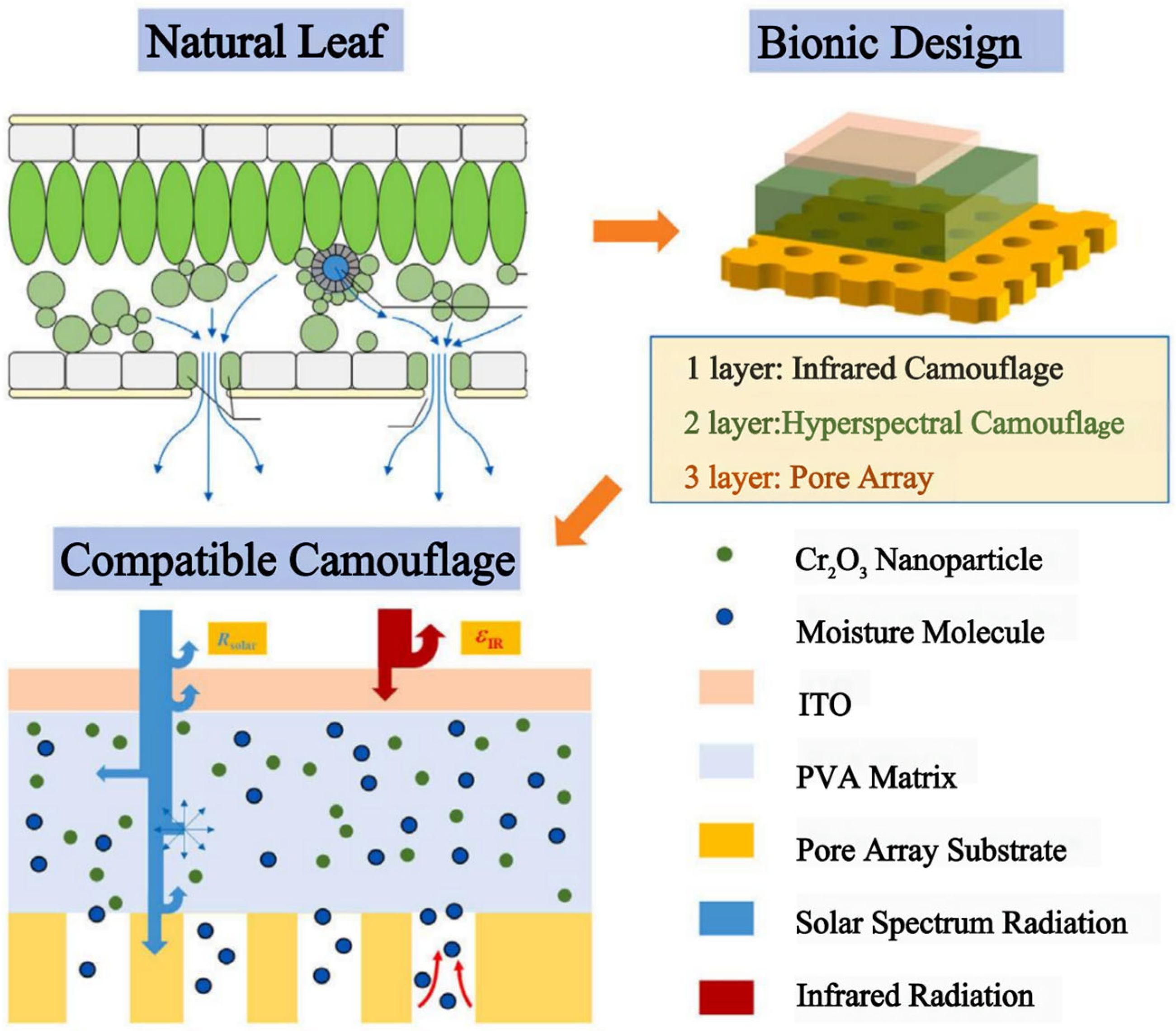 Applsci 14 04404 g012