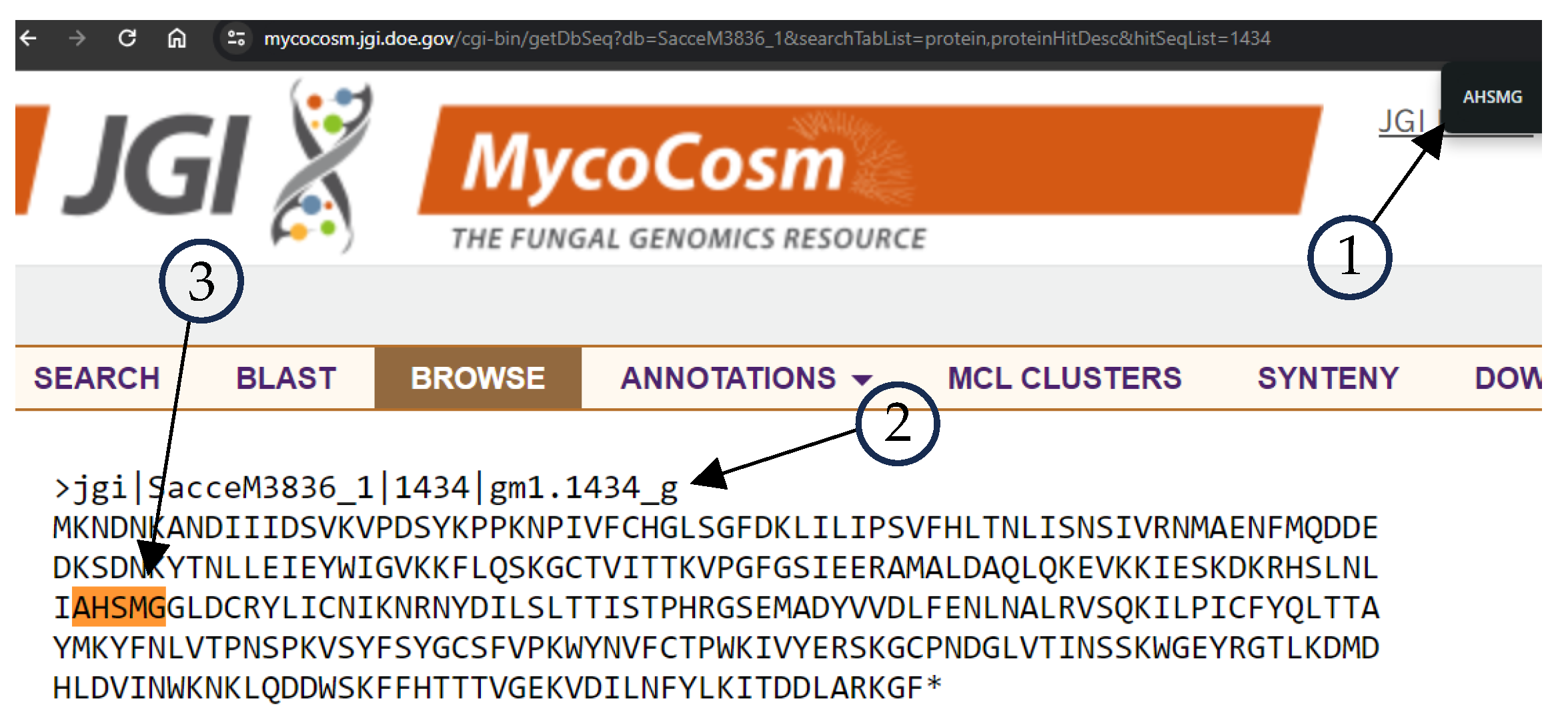 Applsci 14 04429 g003 Applsci 14 04429 g003
