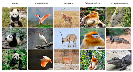 Applsci 14 04443 g006