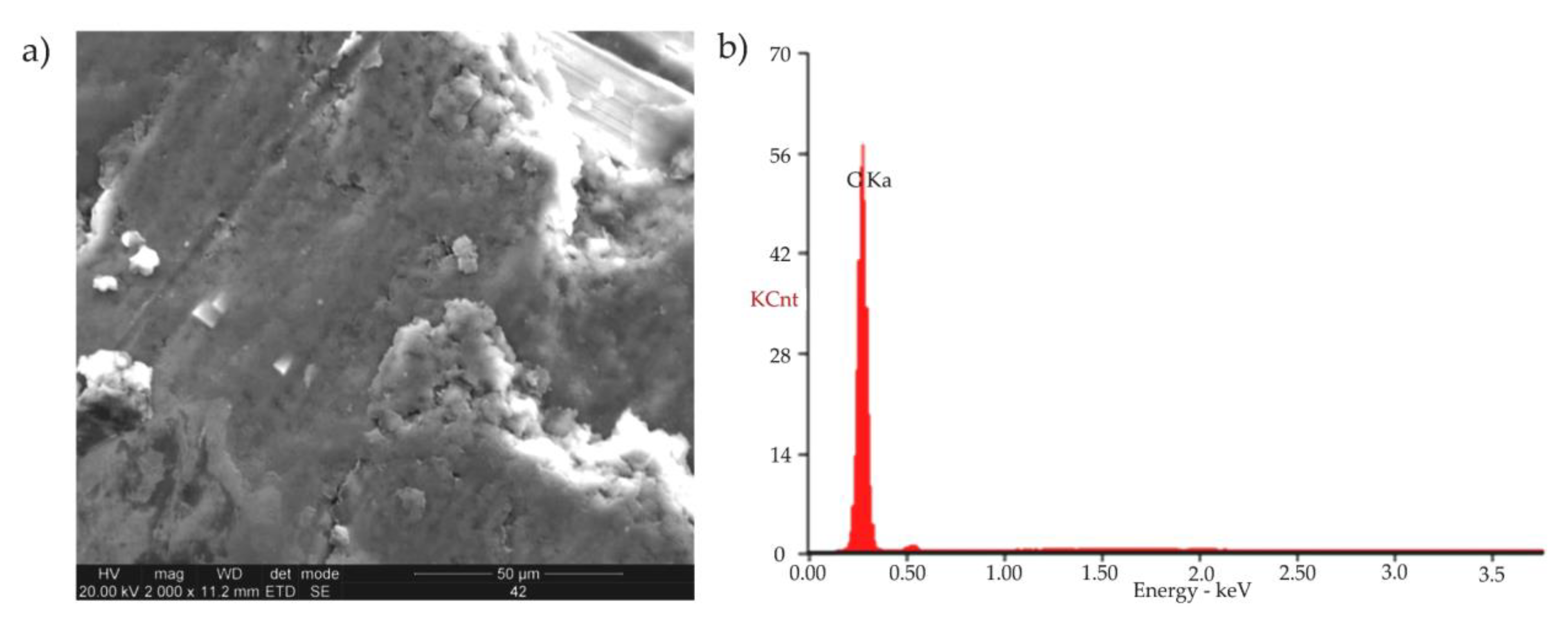 Applsci 14 04497 g002