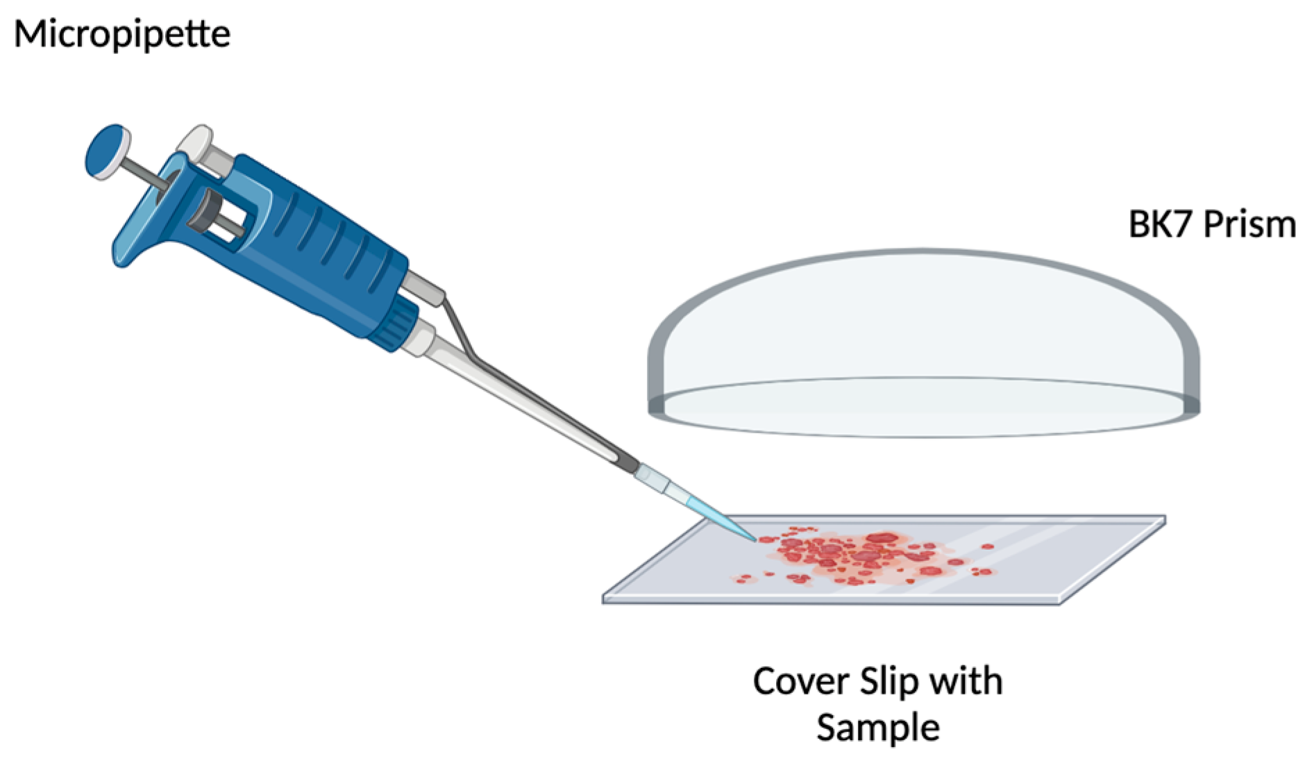 Applsci 14 04529 g003