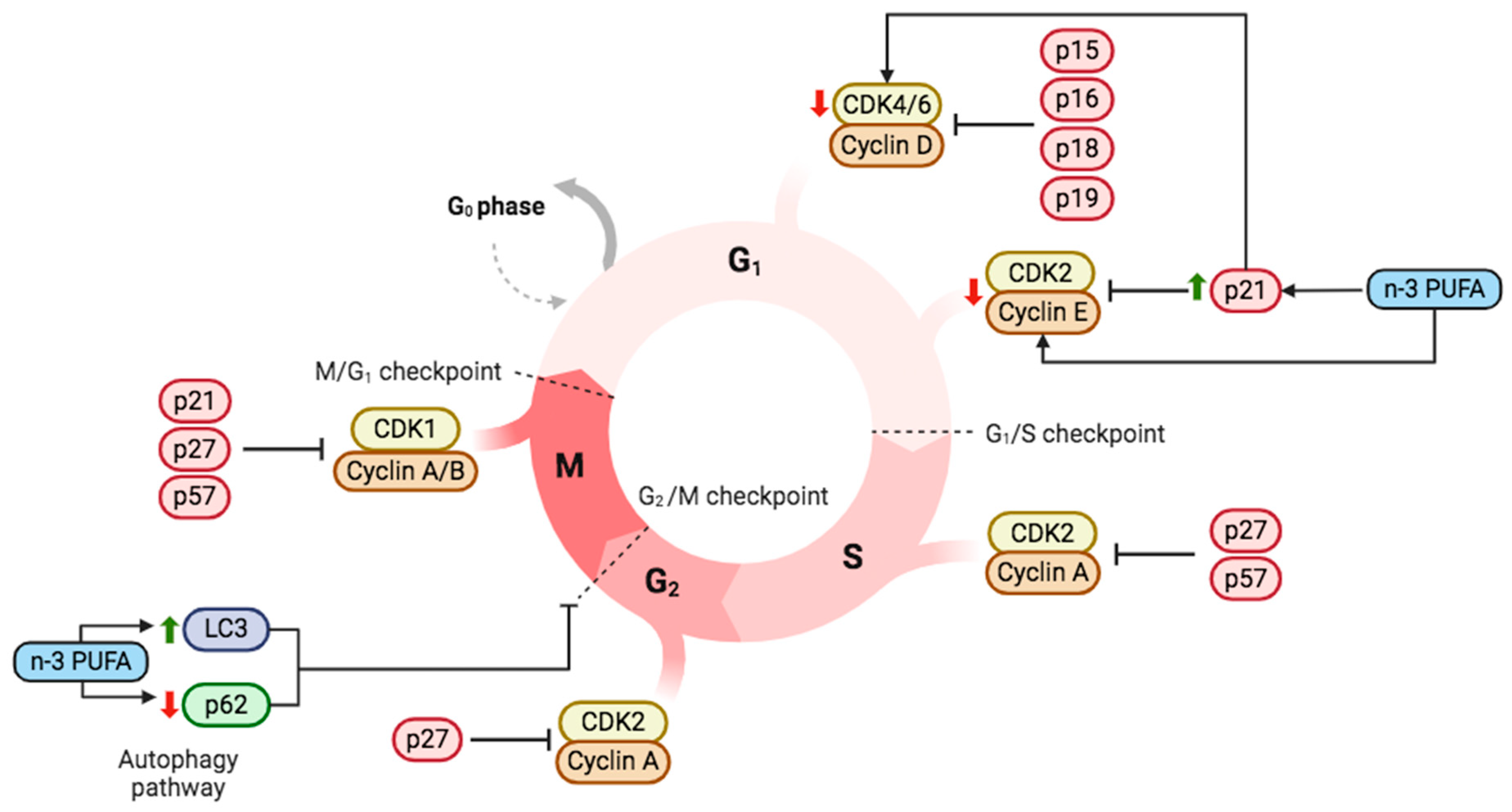 Applsci 14 04548 g004