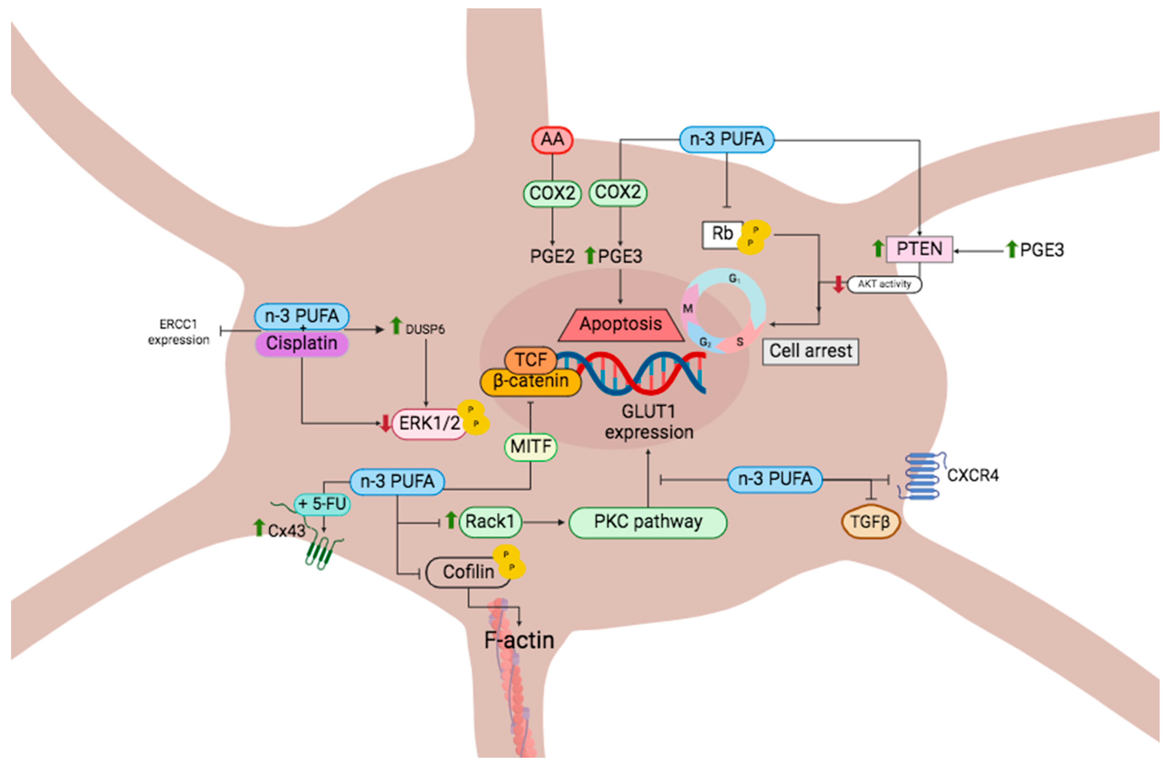 Applsci 14 04548 g005