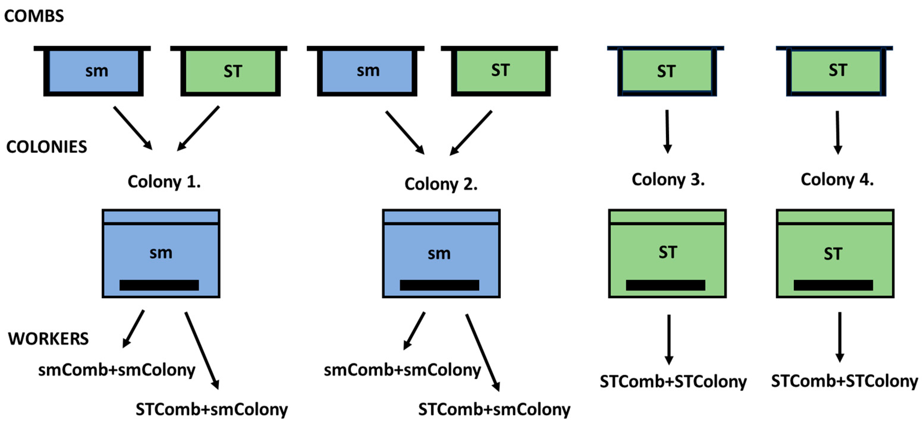 Applsci 14 04566 g001