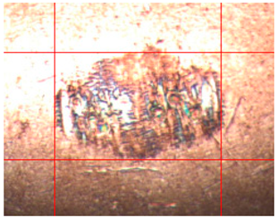 Applsci 14 04567 i001