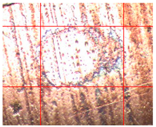 Applsci 14 04567 i005