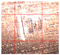 Applsci 14 04567 i008