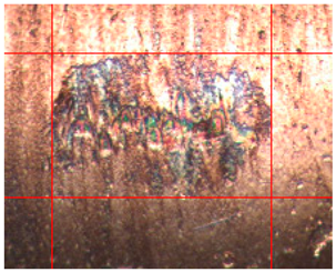 Applsci 14 04567 i009