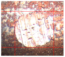 Applsci 14 04567 i013