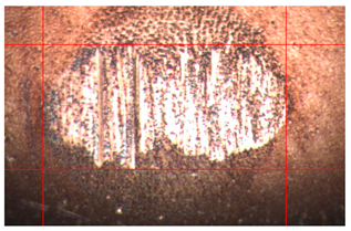 Applsci 14 04567 i015