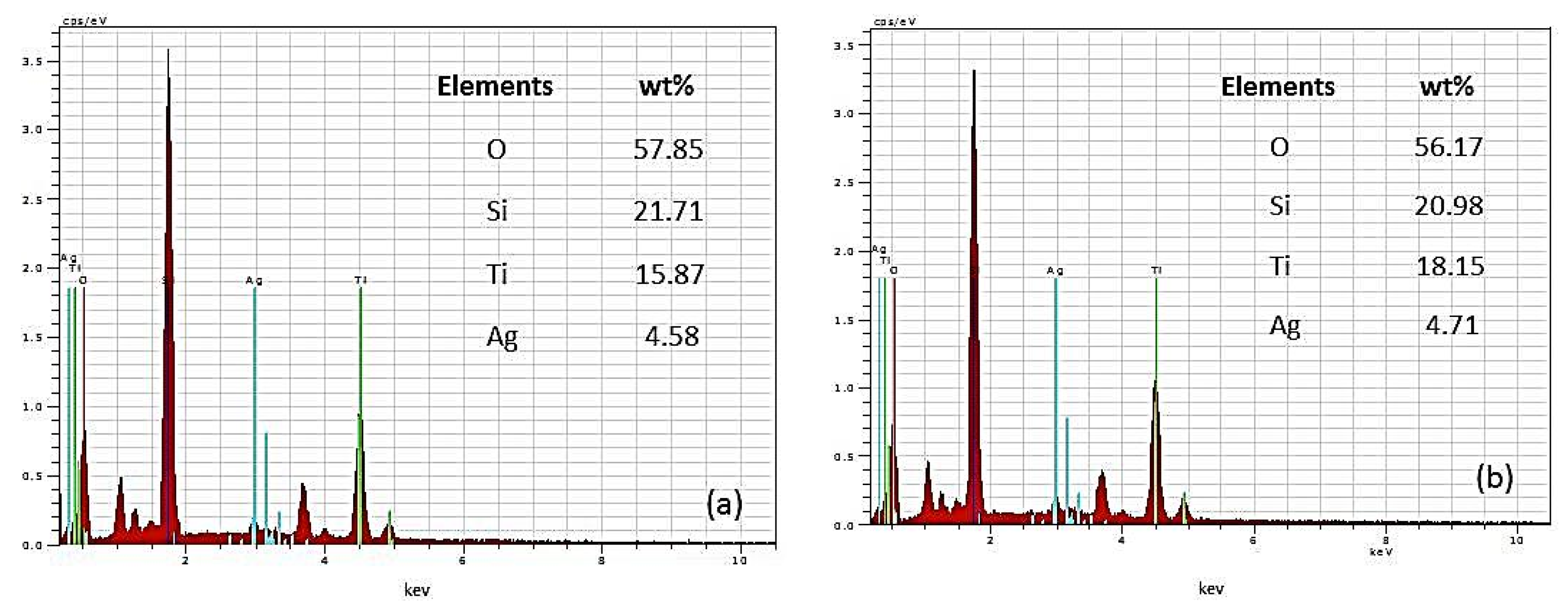 Applsci 14 04571 g003