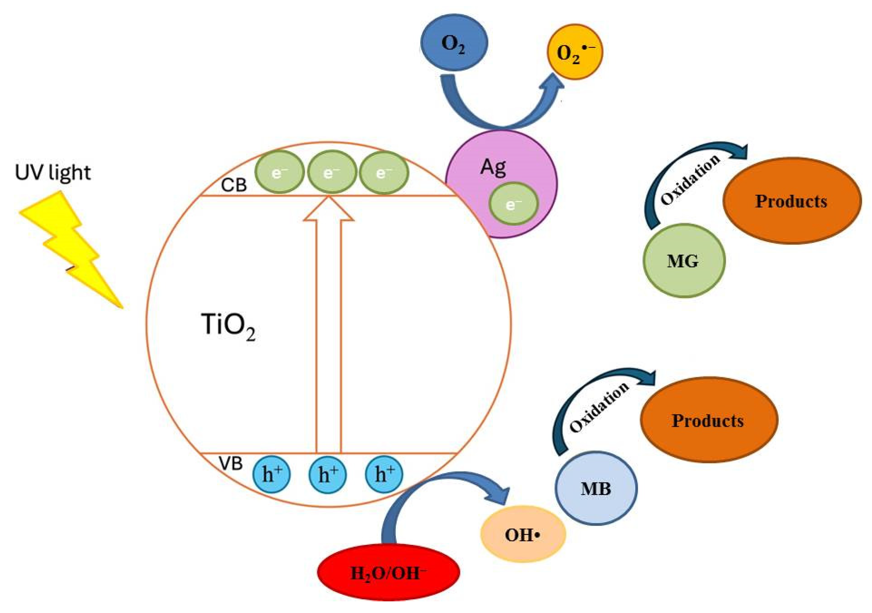 Applsci 14 04571 g008