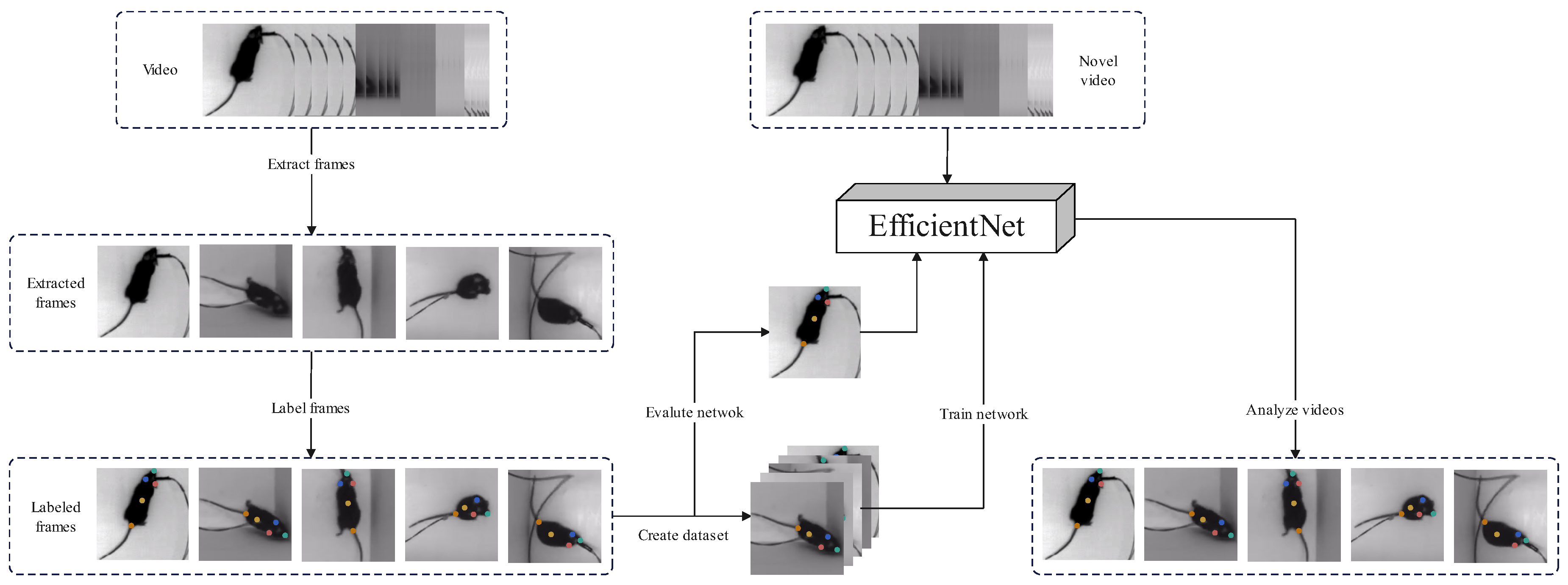 Applsci 14 04583 g003