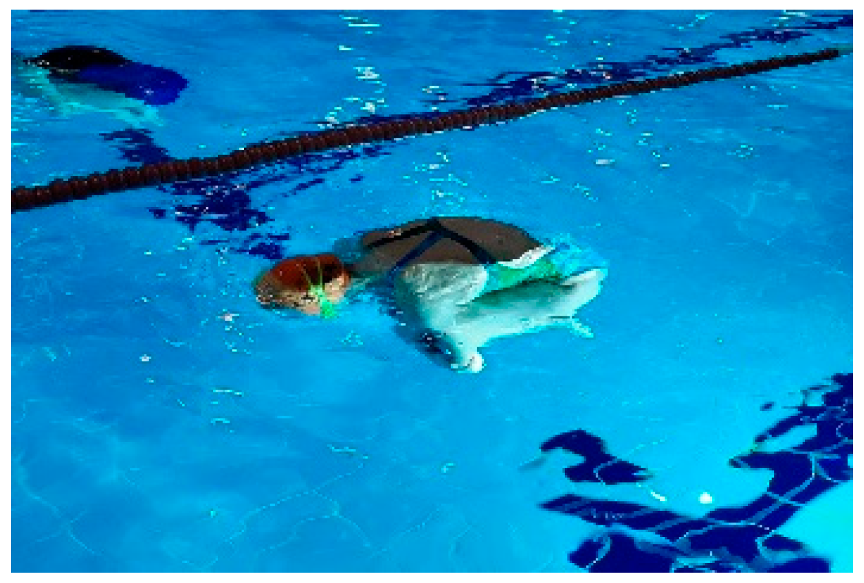 Applsci 14 04586 g002