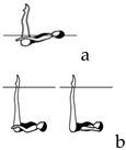 Applsci 14 04586 i004