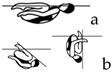 Applsci 14 04586 i005