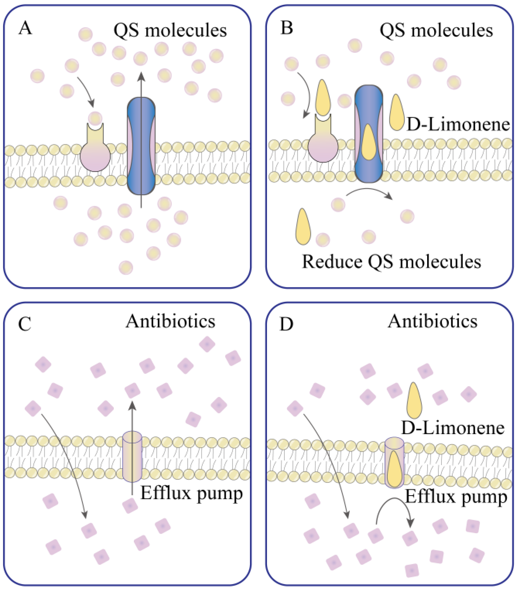 Applsci 14 04605 g003
