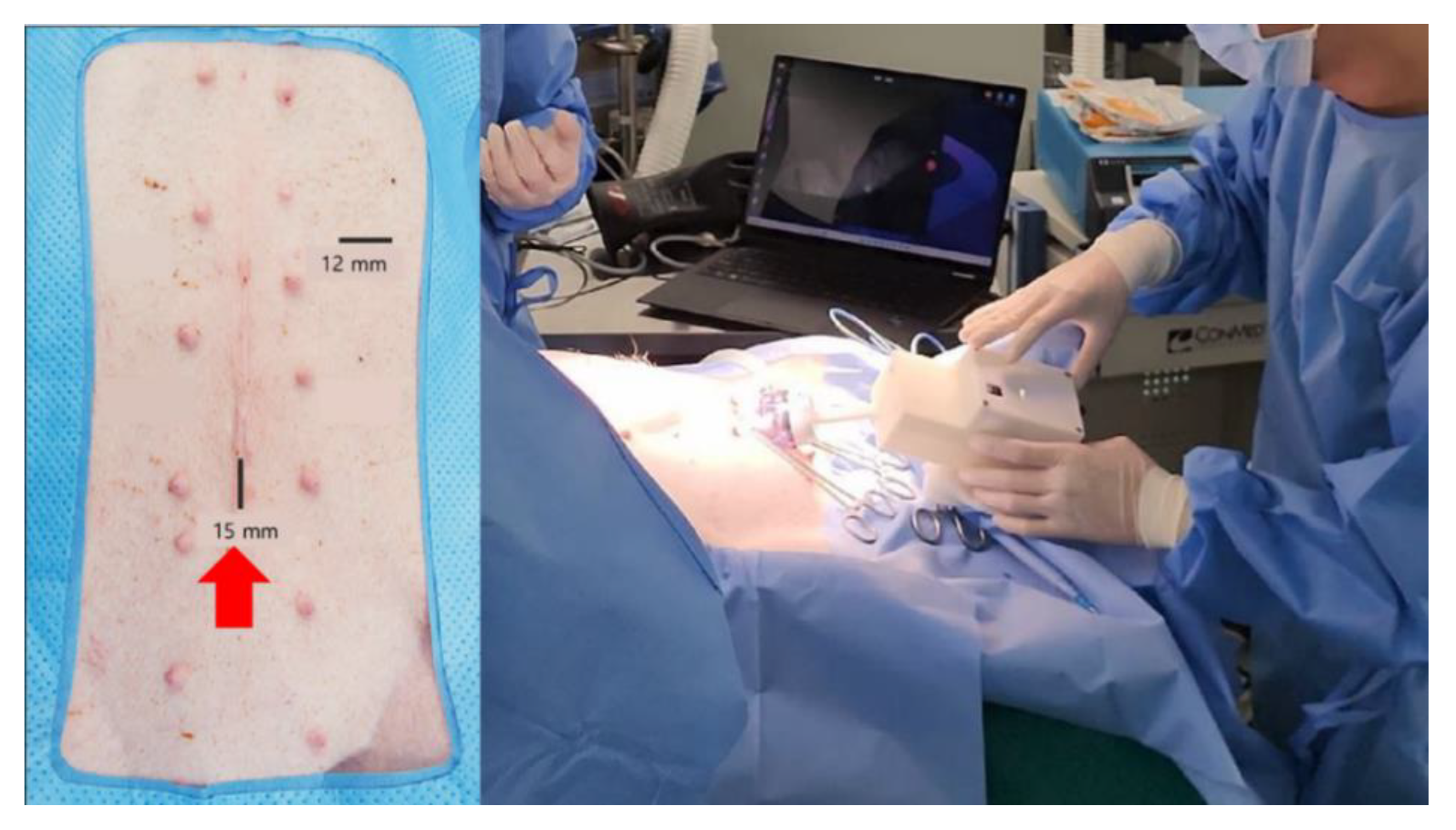 Applsci 14 04622 g008