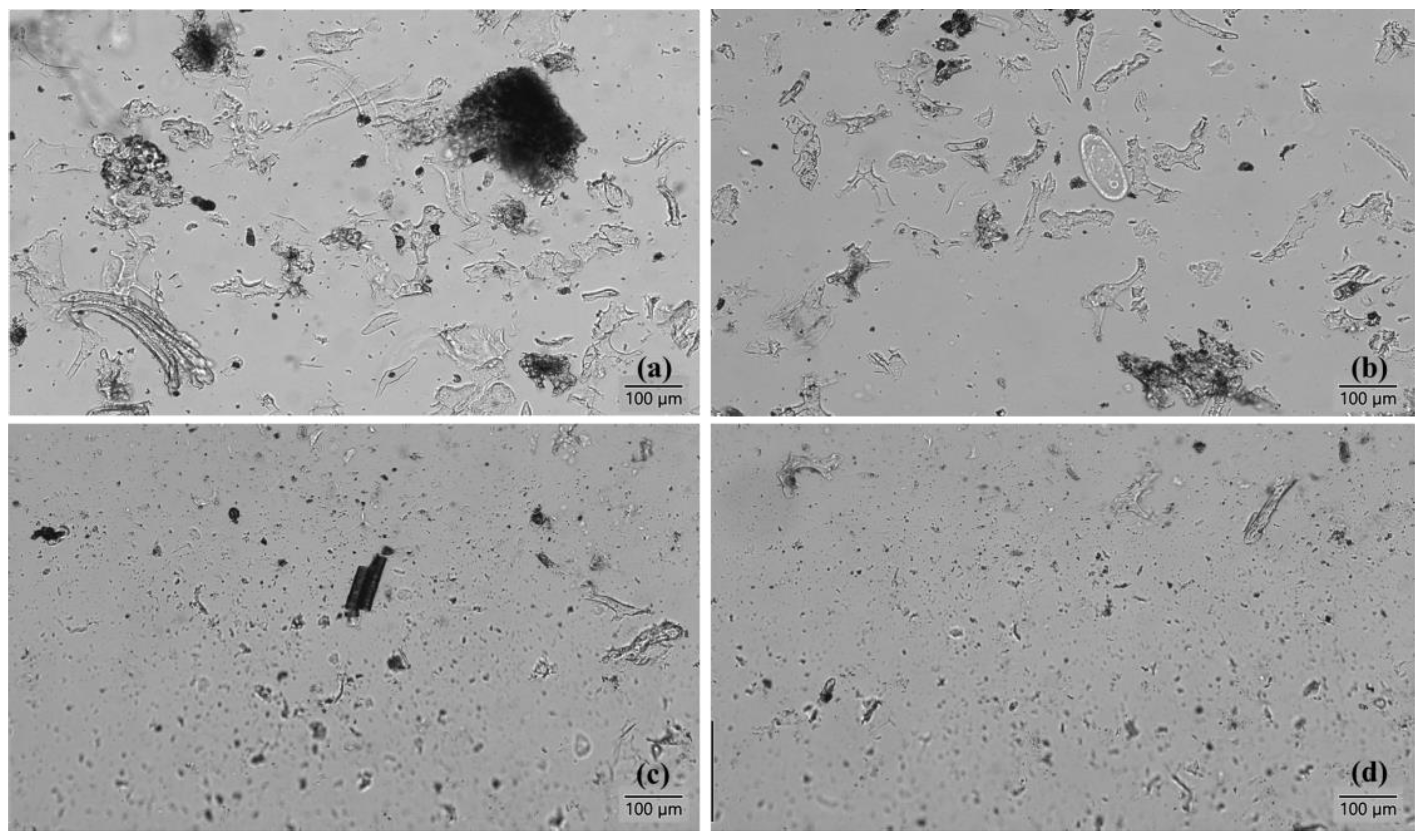 Applsci 14 04670 g007