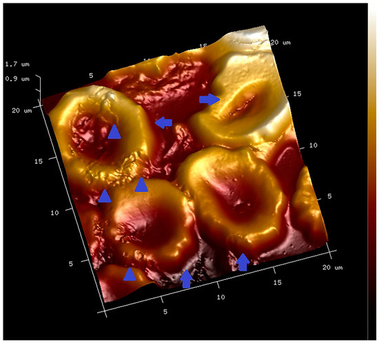 Applsci 14 04684 g001