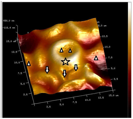 Applsci 14 04684 g002