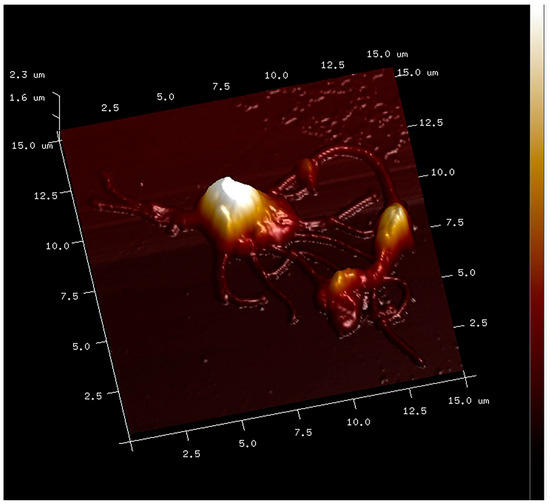 Applsci 14 04684 g003