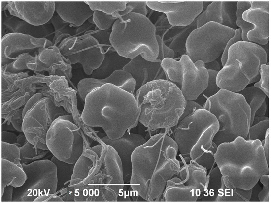 Applsci 14 04684 g005