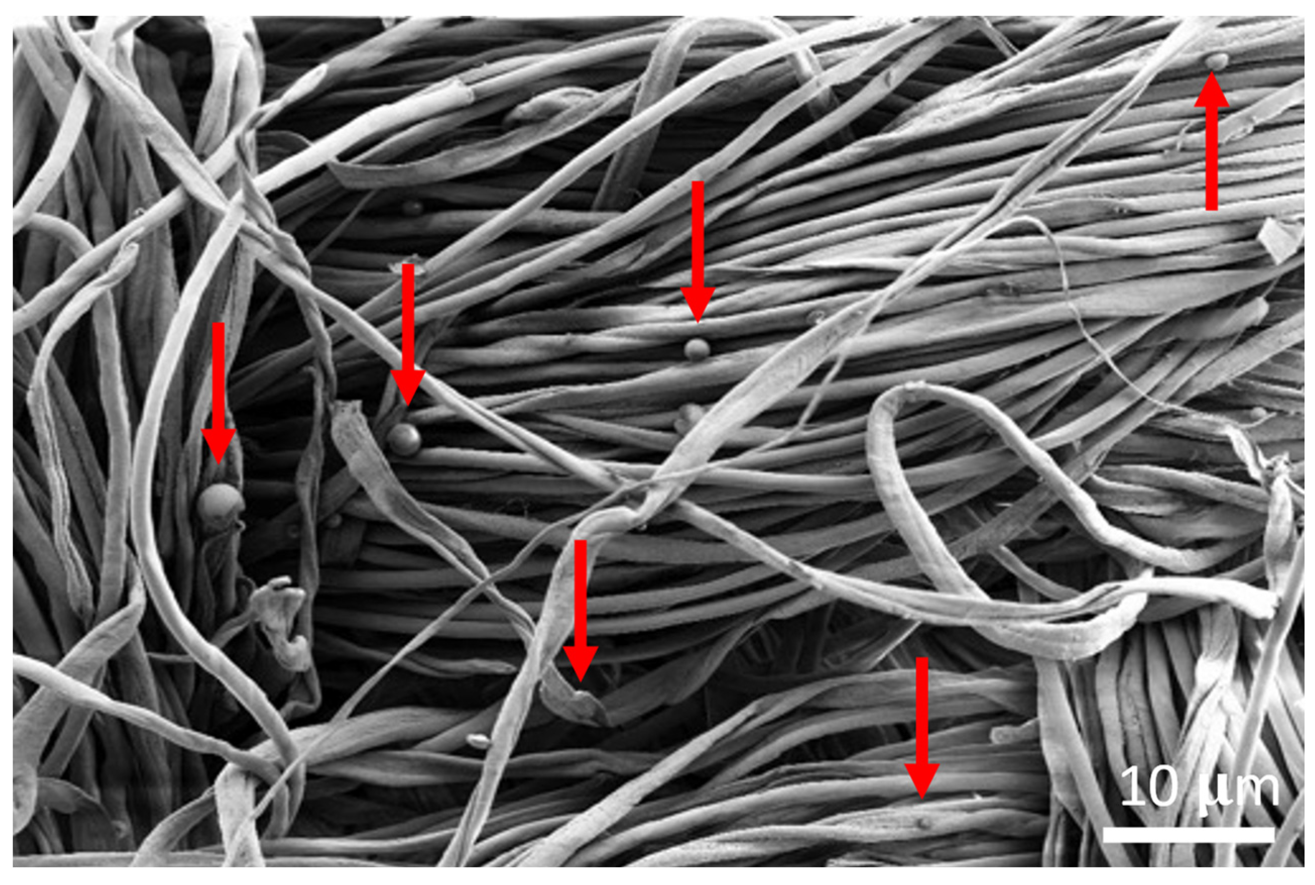 Applsci 14 04725 g003